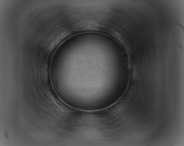 X0000101460677200807141307