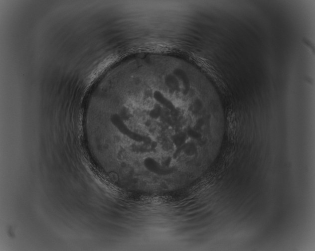 X0000101460679200807141307