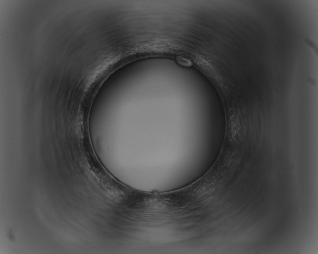 X0000101460680200807141307