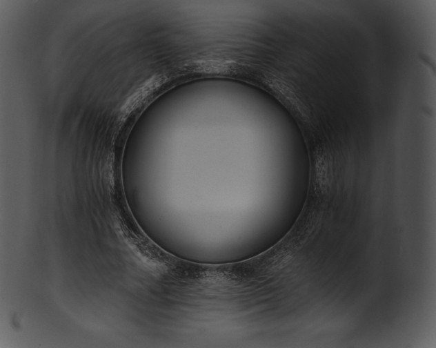 X0000101460682200807141307
