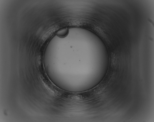 X0000101460683200807141307