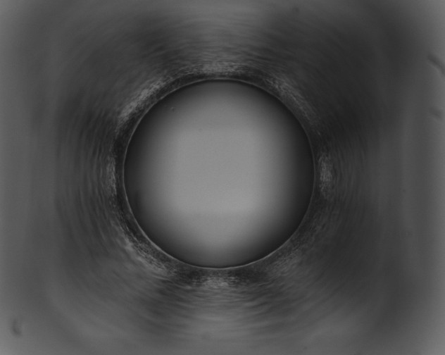 X0000101460684200807141307