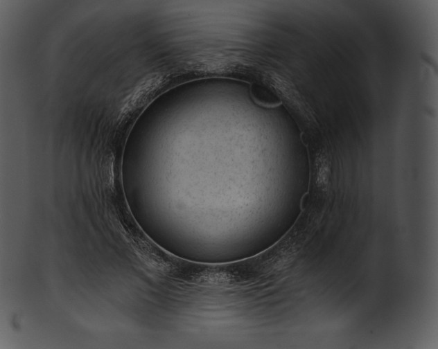 X0000101460685200807141307
