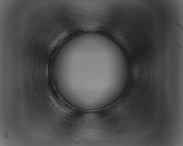 X0000101460686200807141307