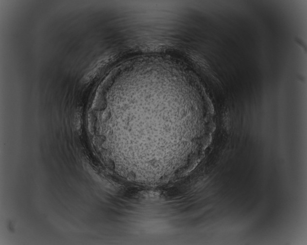X0000101460687200807141307
