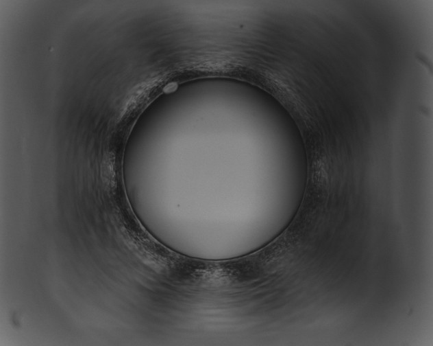 X0000101460688200807141307