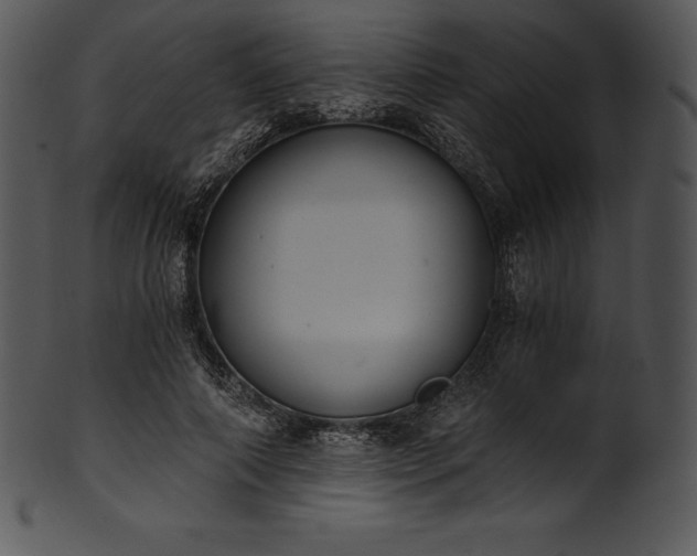 X0000101460690200807141307
