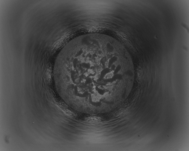 X0000101460691200807141307