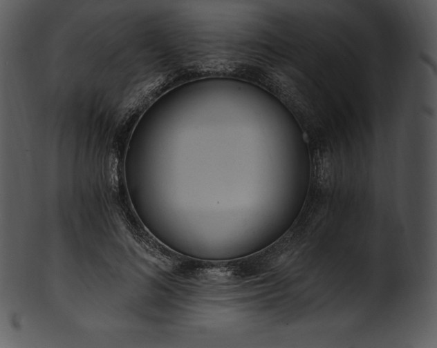 X0000101460692200807141307