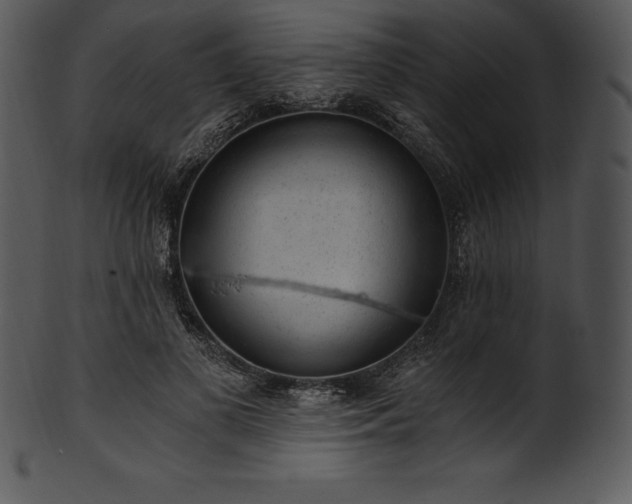X0000101460693200807141307