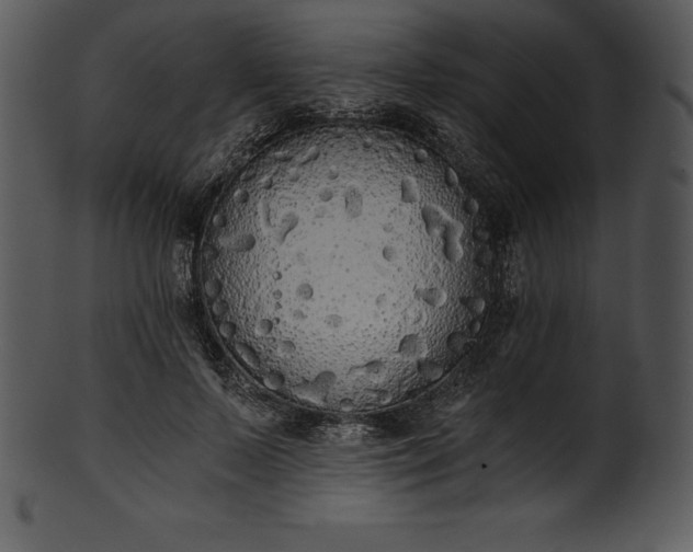 X0000101460695200807141307