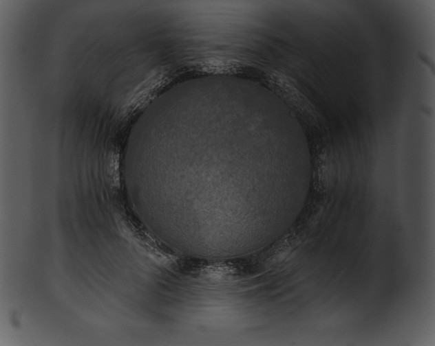 X0000101460696200807141307