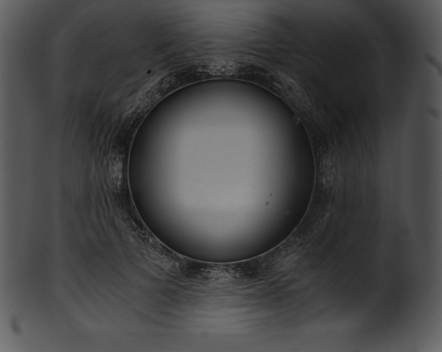 X0000101460697200807141307
