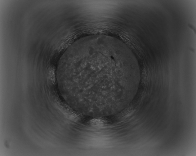 X0000101460699200807141307