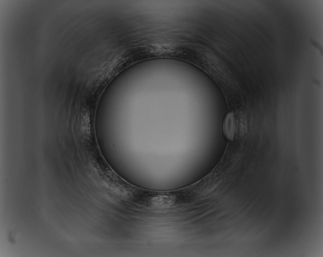 X0000101460700200807141307