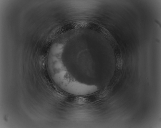 X0000101460701200807141307