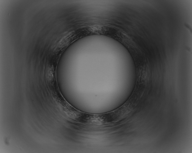 X0000101460702200807141307