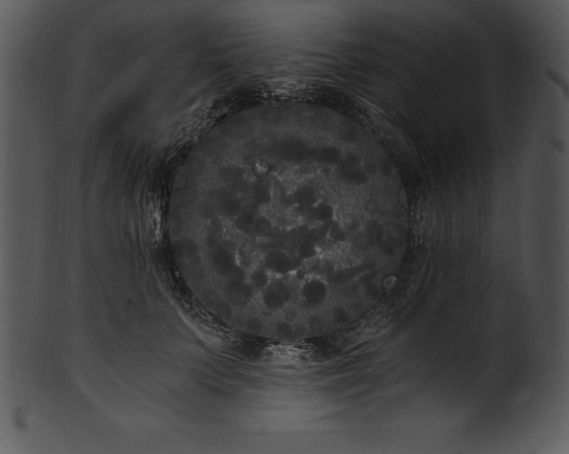 X0000101460703200807141307