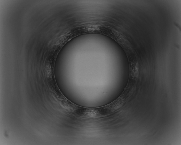 X0000101460704200807141307