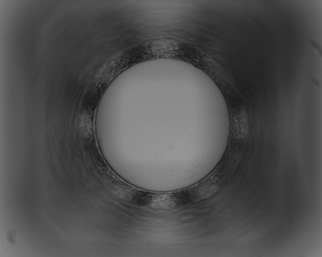 X0000101460705200807141307