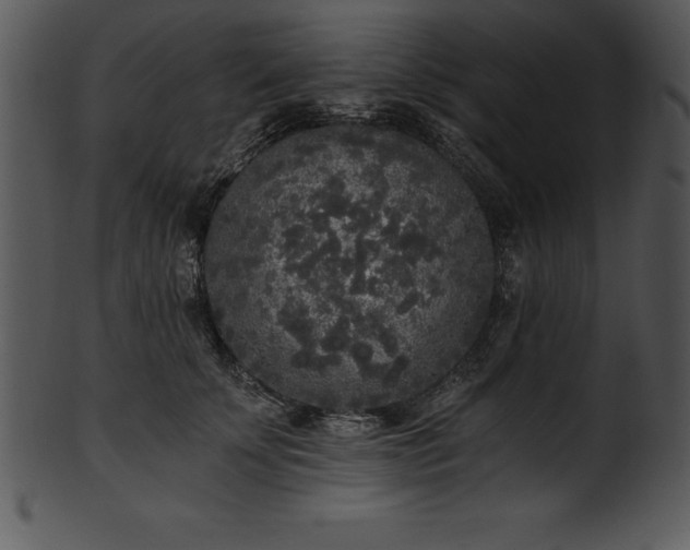 X0000101460707200807141307