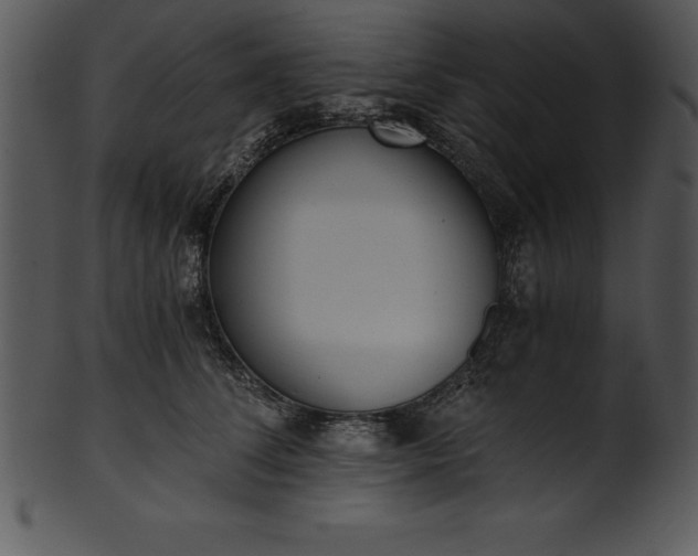 X0000101460708200807141307