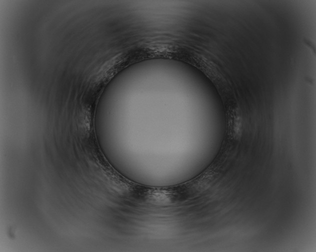 X0000101460710200807141307