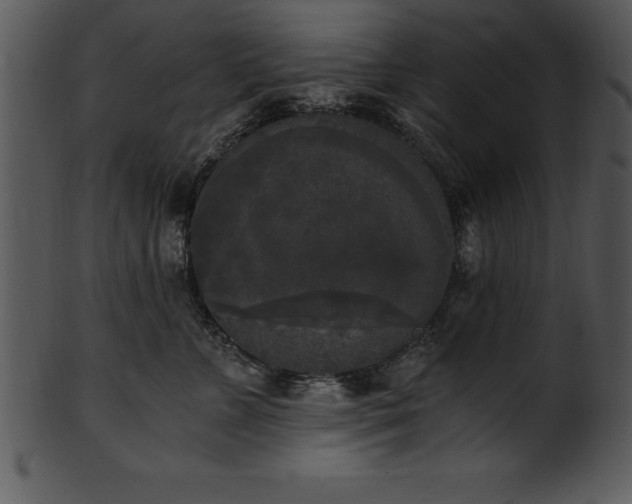 X0000101460715200807141307