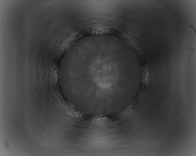 X0000101460716200807141307