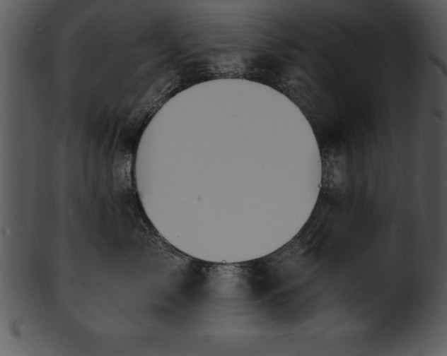X0000101460717200807141307