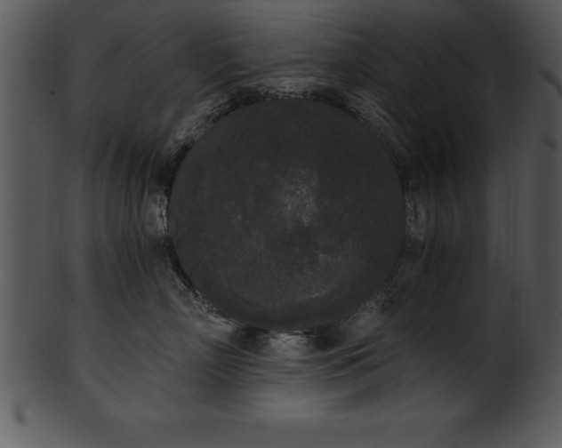 X0000101460718200807141307