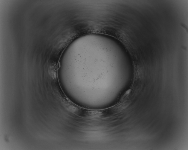 X0000101460719200807141307