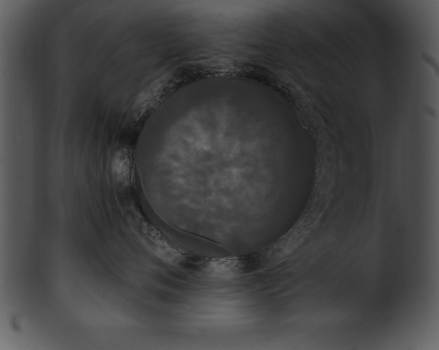 X0000101460720200807141307