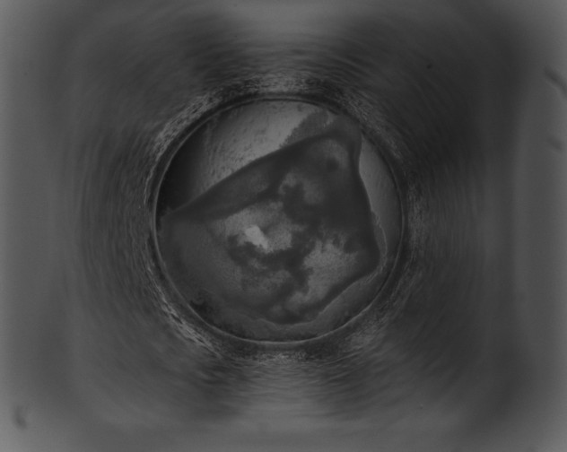 X0000101460721200807141306