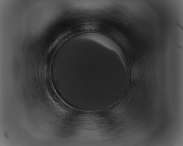 X0000101460722200807141306