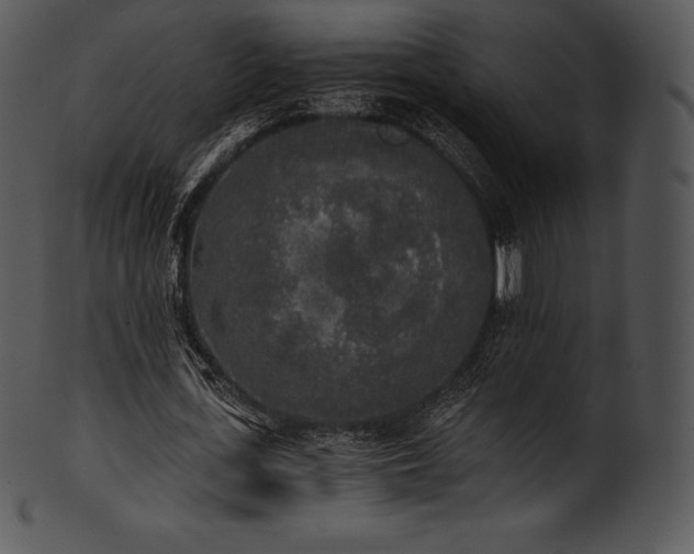 X0000101460723200807141306