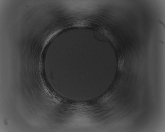 X0000101460724200807141306