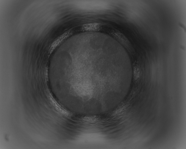 X0000101460725200807141306