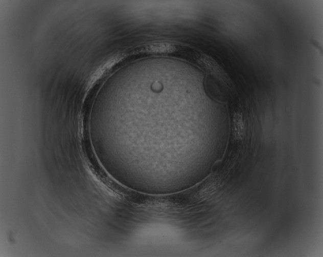 X0000101460726200807141306