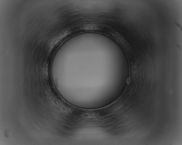 X0000101460727200807141306