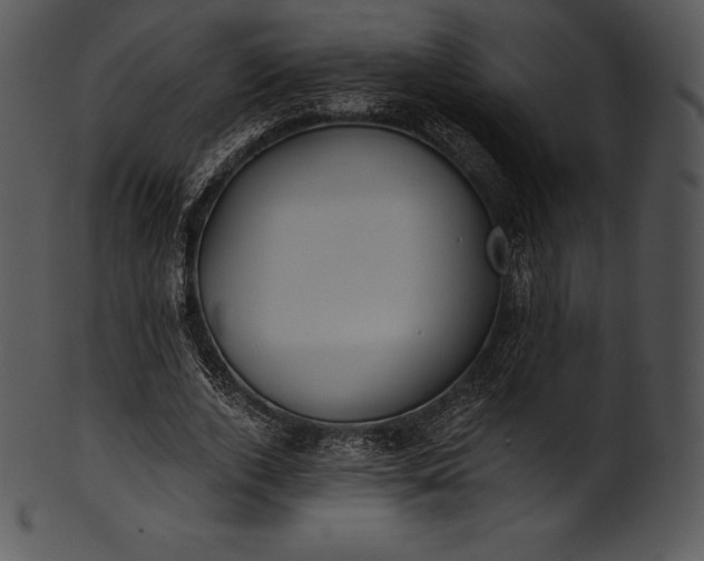 X0000101460728200807141306
