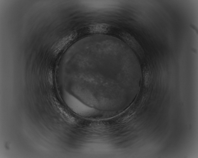X0000101460729200807141306