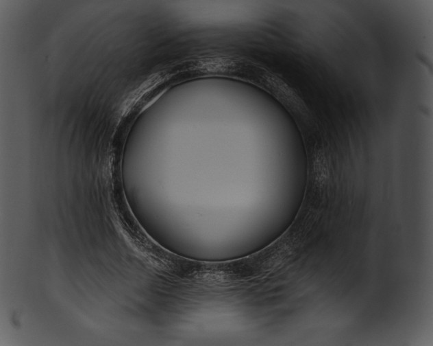X0000101460730200807141306