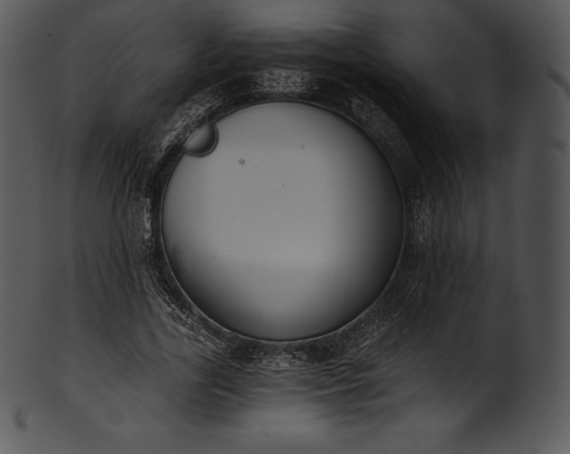 X0000101460731200807141306