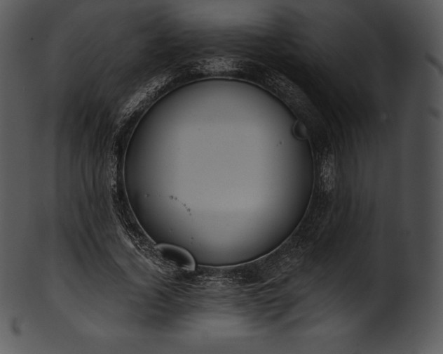 X0000101460732200807141306