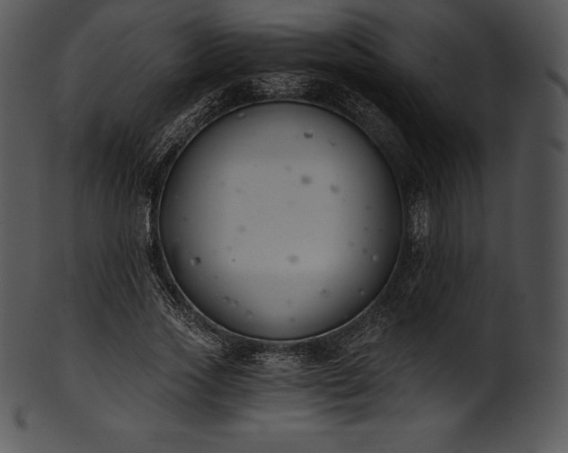 X0000101460733200807141306