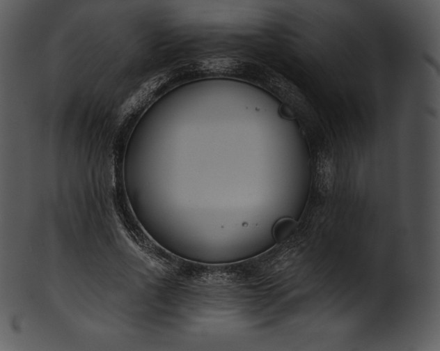 X0000101460734200807141306