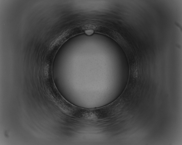 X0000101460735200807141306