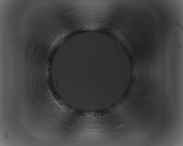 X0000101460736200807141306