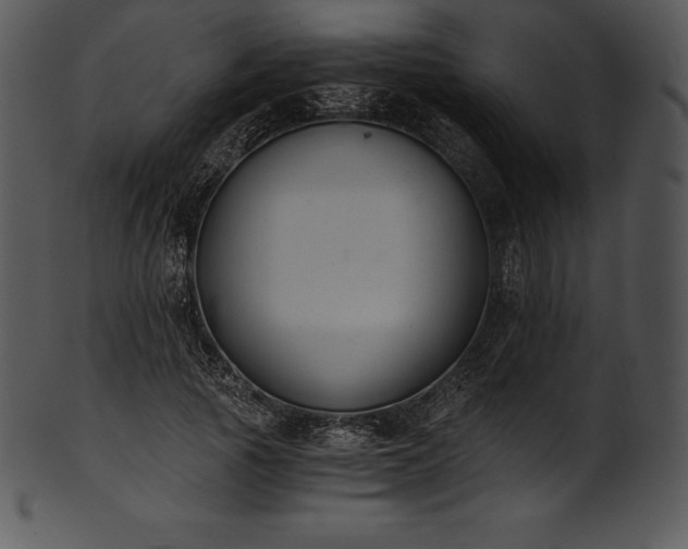 X0000101460737200807141306